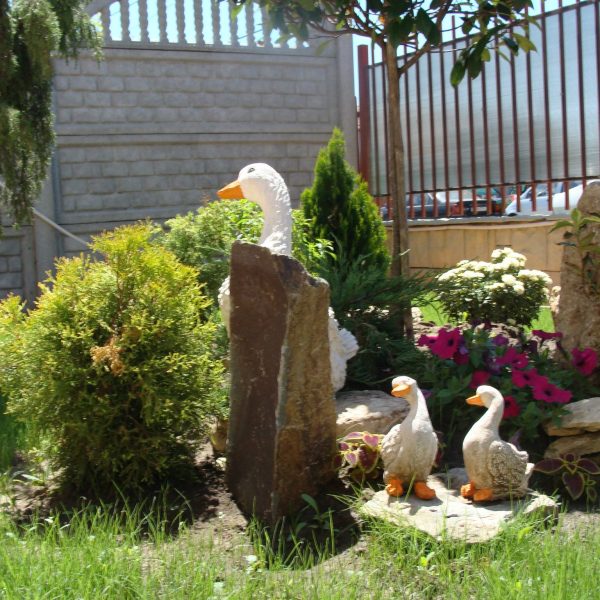 12916707_1022804664465052_986072452085010541_o